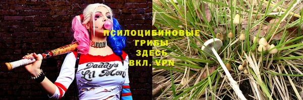 мет Заводоуковск