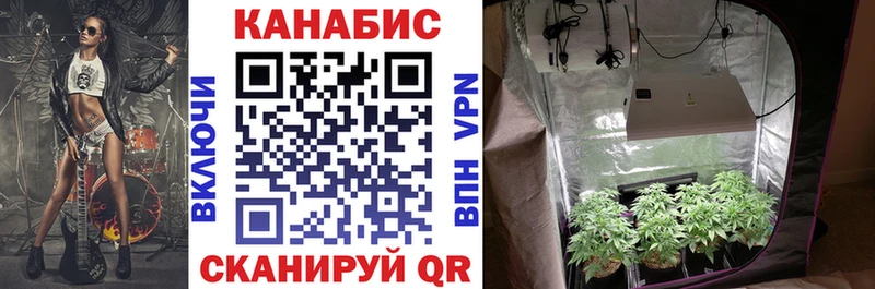 даркнет сайт  Ставрополь  ссылка на мегу ONION  Канабис индика 
